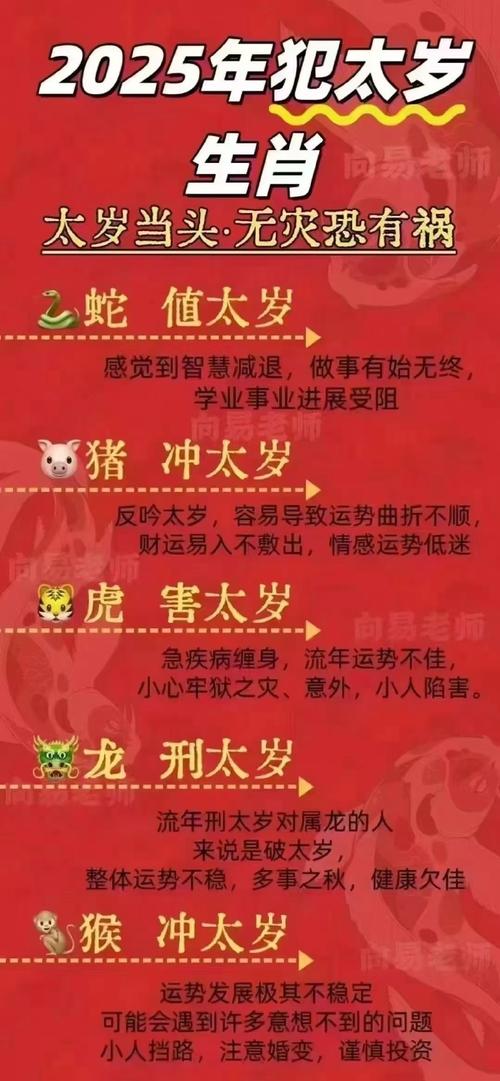 时望所归正确答案打一生肖的简单介绍