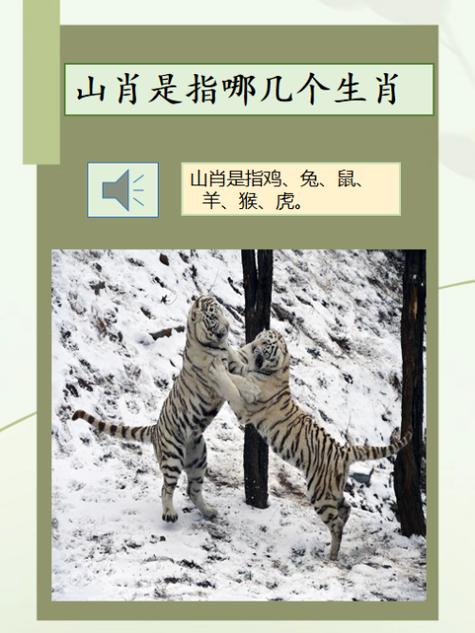 “父兼母职,知易行难,一头雾水有所限”打一个生肖动物
