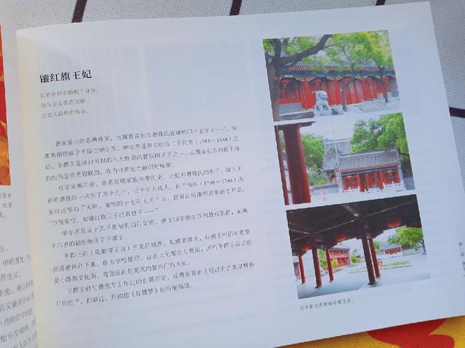 草蛇灰线伏脉千里打一生肖,草蛇灰线,伏脉千里,时间是最好的作者