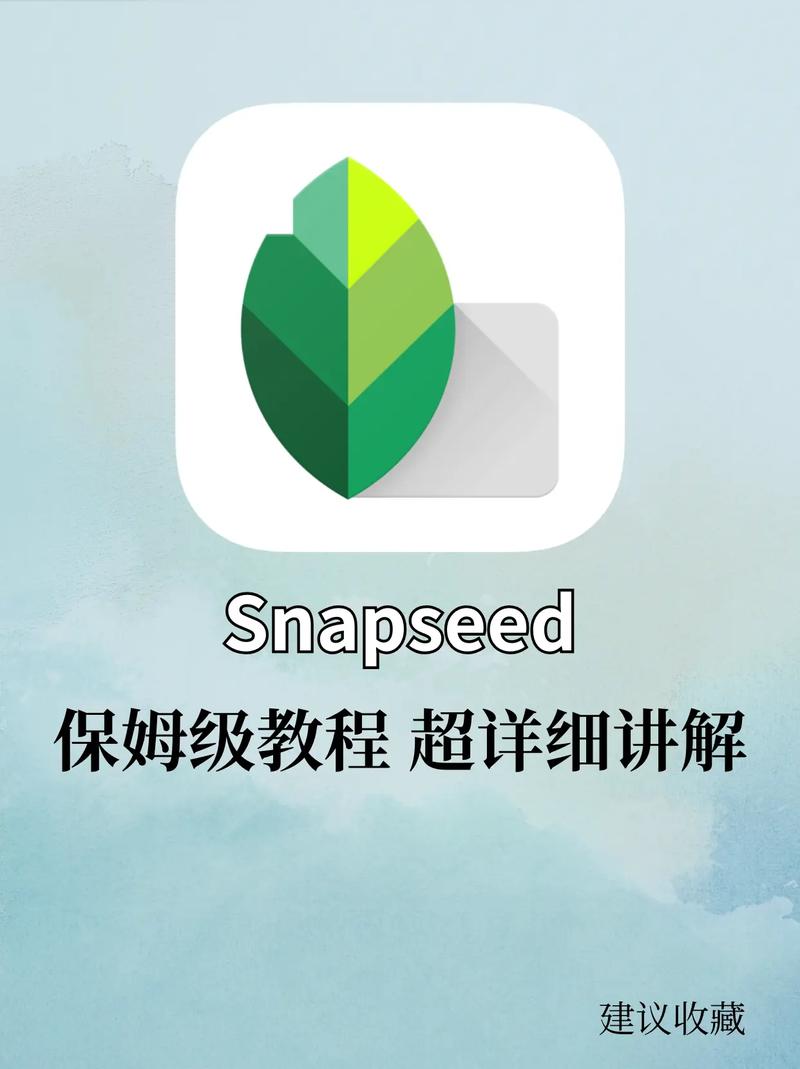 Snapseed网页版入口:轻松在线编辑照片的最佳选择