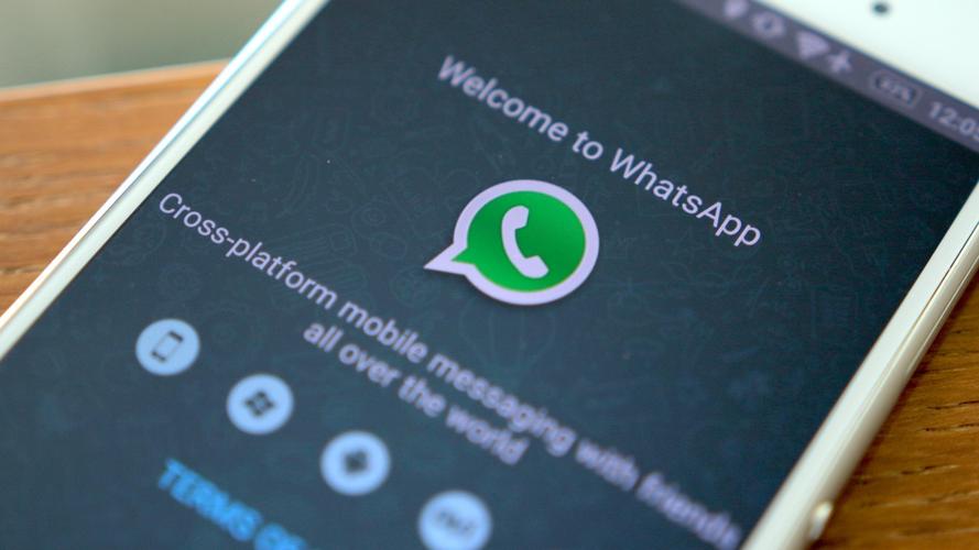 最新whatsapp安卓版下载,whatsapp android下载最新