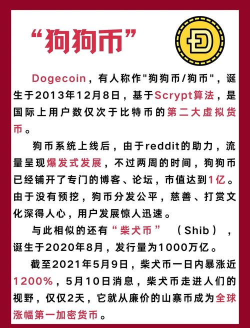 狗狗币有没有潜力,狗狗币有没有暴涨的机会