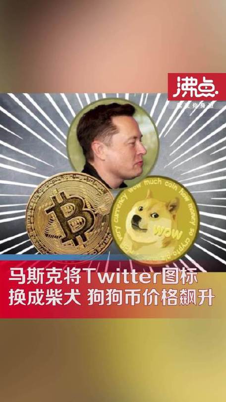 狗狗币马斯克,狗狗币马斯克58