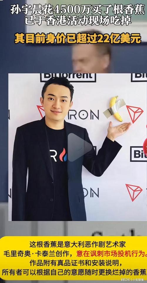 瑞波币孙宇晨,孙宇晨简介发了几个币