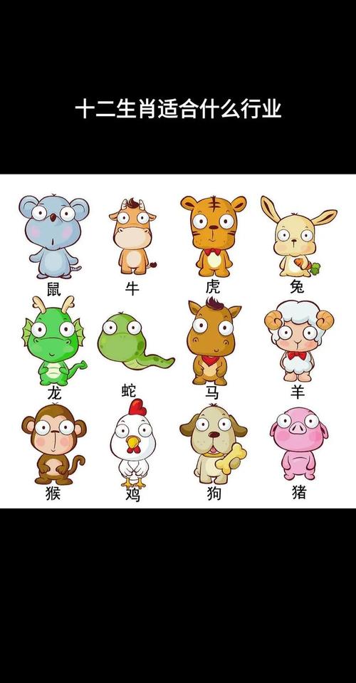 姘代表什么生肖,姘代表什么生肖?