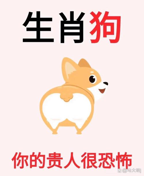 狗彘不如开过啥生肖,狗彘不如开过什么生肖