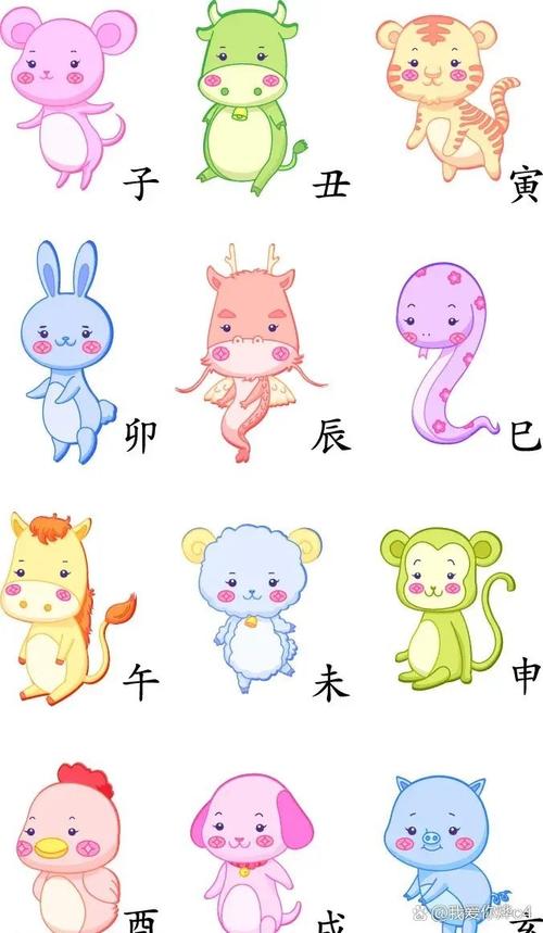 作息规律打什么生肖,作息规律的生肖有哪些