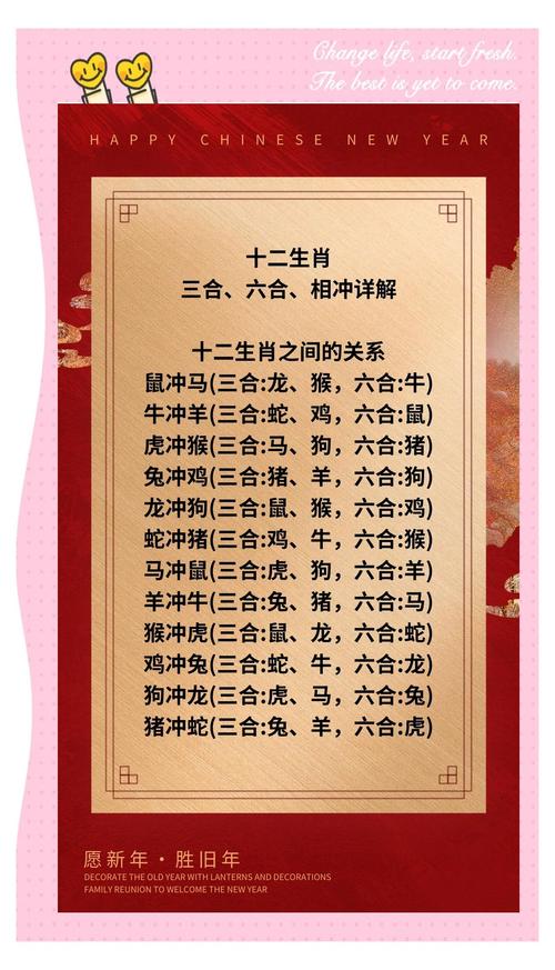 包含准打一最佳精准生肖的词条