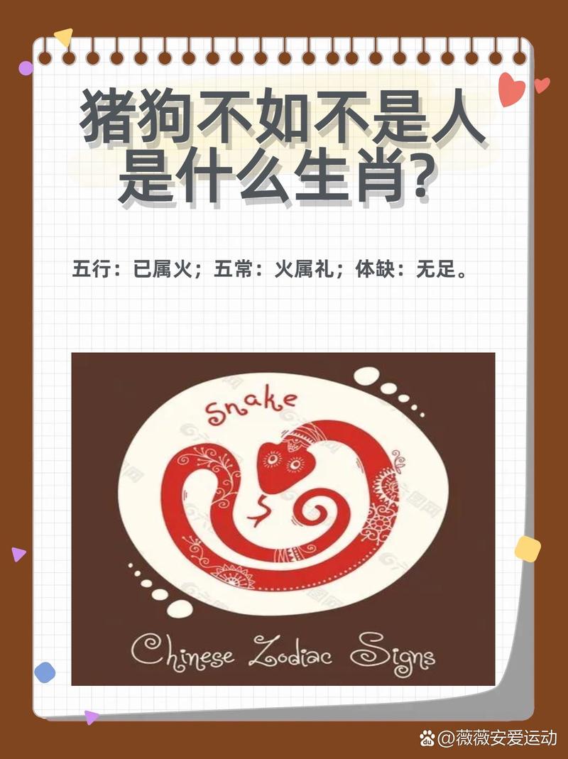 最丑最老的动物准确生肖答案,最丑最老动物十二生肖当中是什么生肖