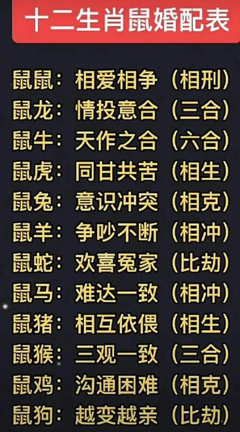 鼠生肖配什么生肖最佳,鼠生肖配什么生肖最佳婚姻