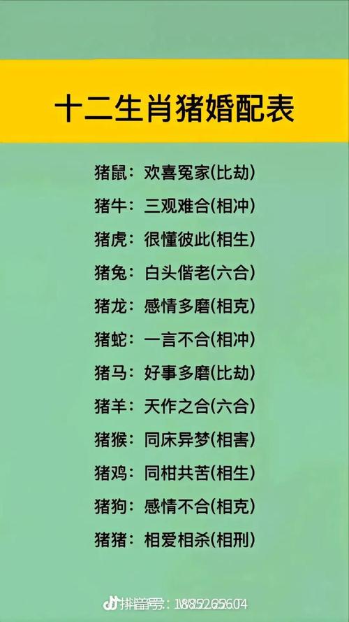 包含今期有防四五开打一最佳生肖动物的词条