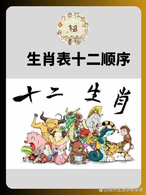 12生肖表2025图片,十二生肖表2020年图片