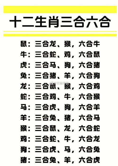 6合情深打一准确生肖,六个情深博一码是什么生肖