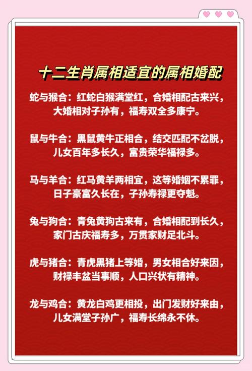 生肖最佳配对表,生肖配对表顺序2020