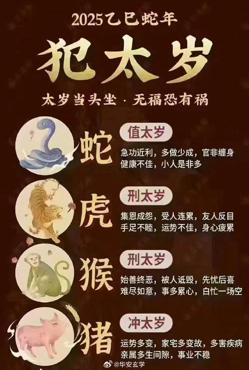 蛇年什么生肖犯太岁,蛇年什么生肖犯太岁要注意什么