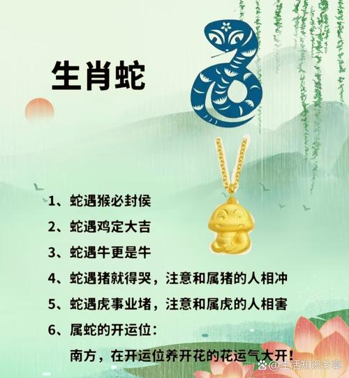 跋山涉水打一生肖是不是,跋山涉水是什么意思是什么生肖
