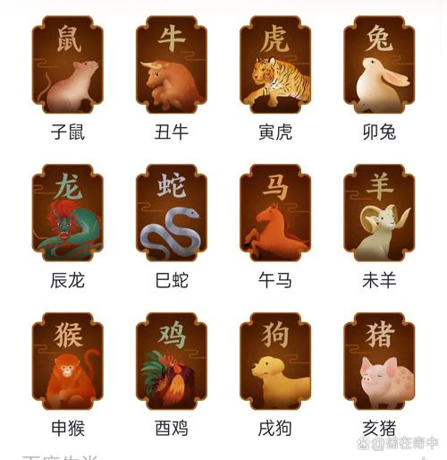 12生肖排位图,十二生肖的排位顺序是什么