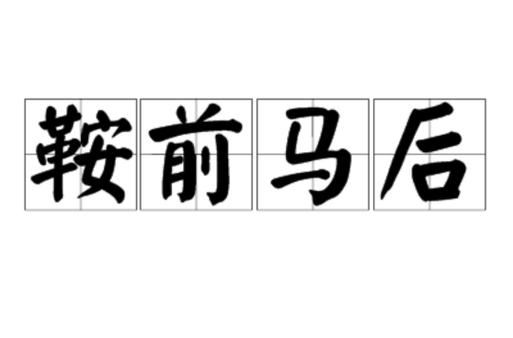 鞍前马后打一准确生肖,鞍前马后打一个生肖动物