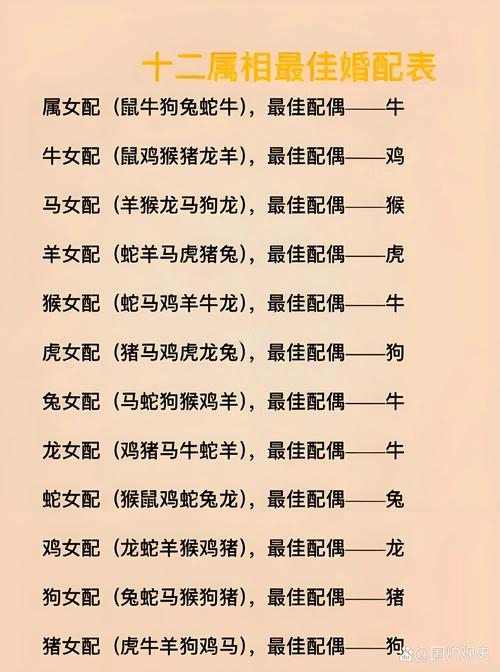 代表夫妻的生肖,代表夫妻的生肖是什么生肖