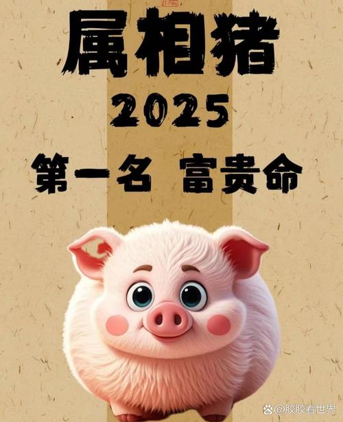 什么生肖旺猪爸爸,什么生肖旺猪爸爸呢