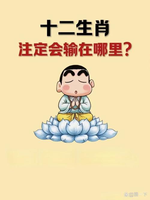 手机打一个生肖,十二生肖谁是手机