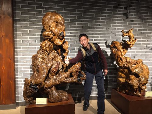 今期生肖二三八打一个生肖,今期生肖二三八打一生肖最佳答案