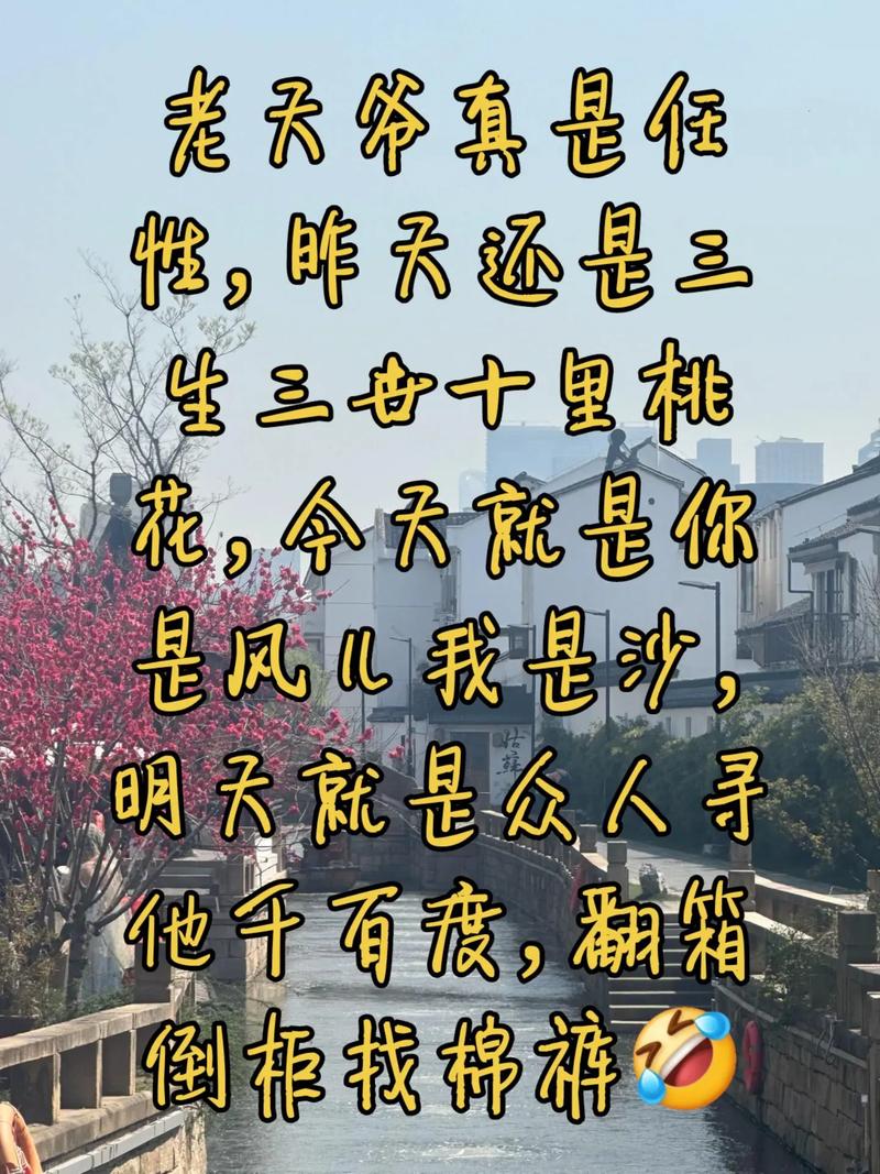 来去无踪打一生肖,来去无踪是什么意思?
