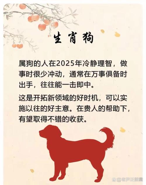 把握时机别错过打一个生肖,把握时机别错过打一生肖动物