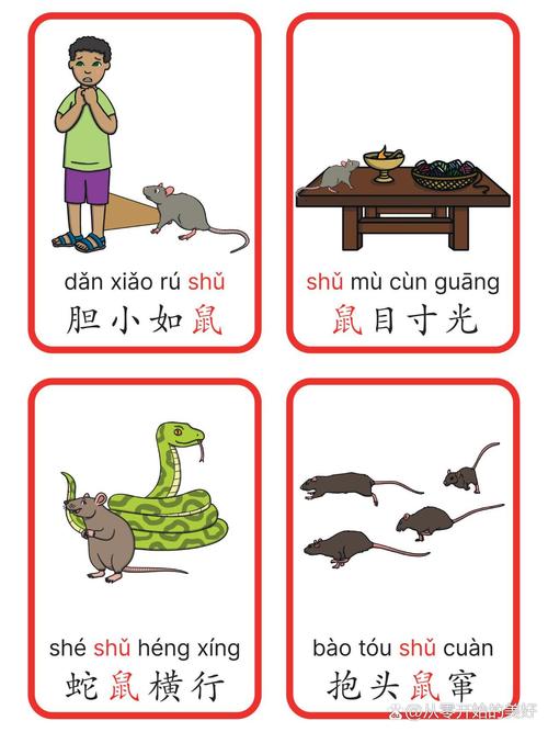 十二生肖的全部拼音,十二生肖的拼音怎么说